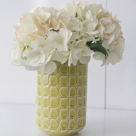 Babu House Отель